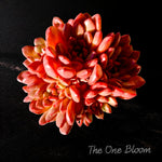 Fully Upgraded Boutique Rare Succulent Plants Live /Echeveria Pink Rubby 3-3.5", Bare Root With Soil Pot Kit/Plants Gifts
