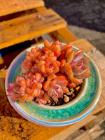 b695dc40-058e-4500-9837-9ee1f18efacd