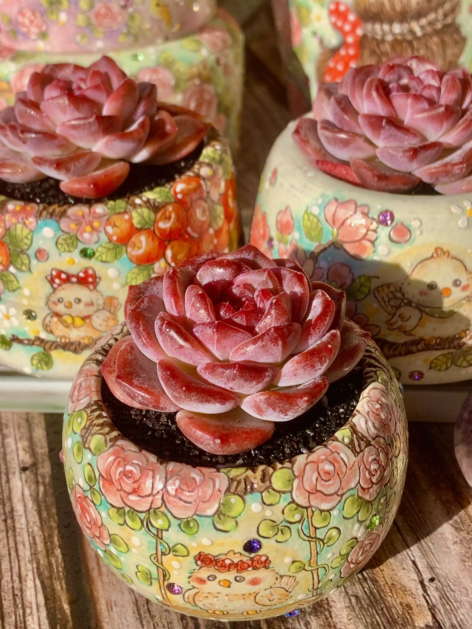 Echeveria Snow Lotus