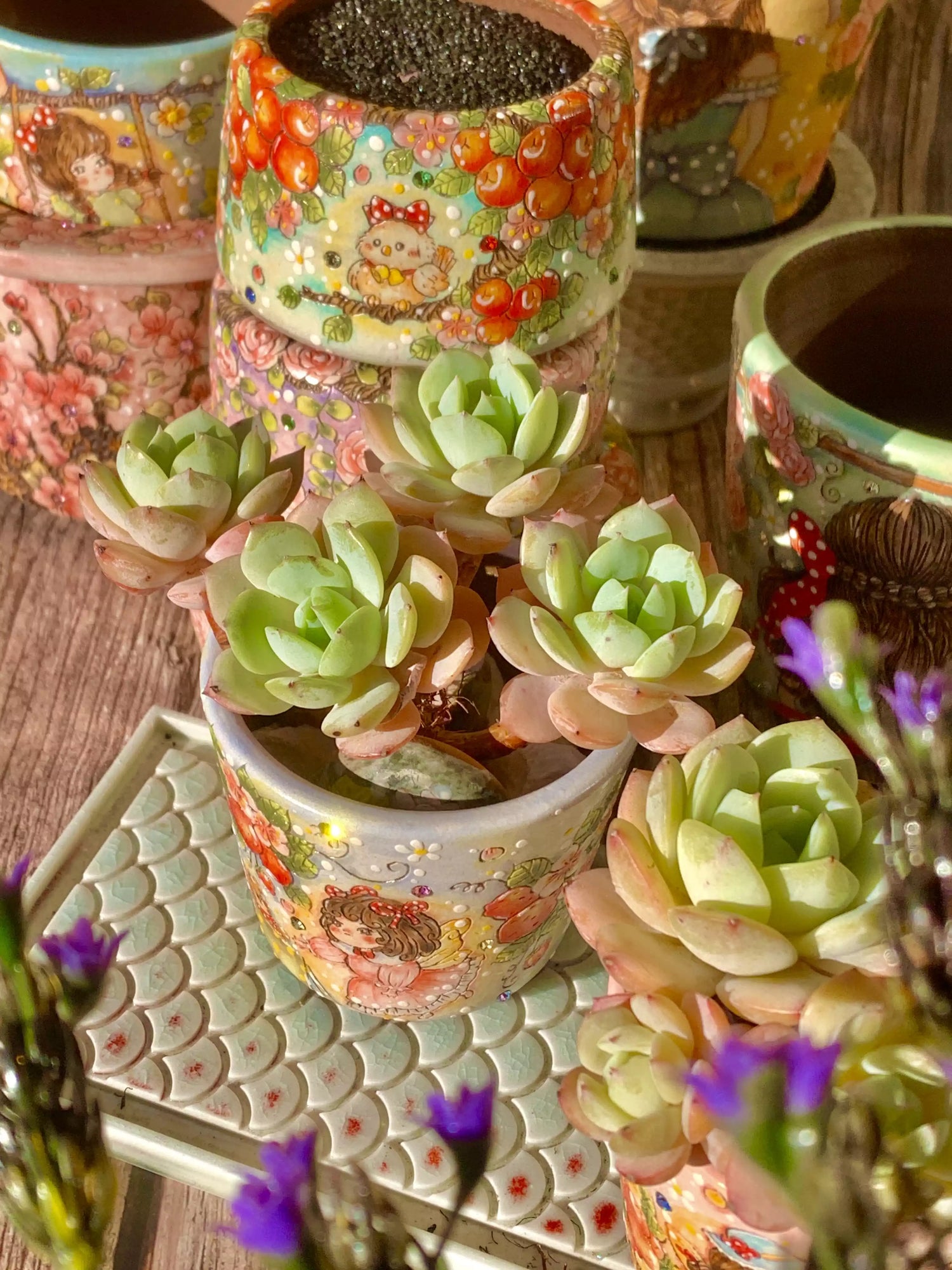 Echeveria Love Song