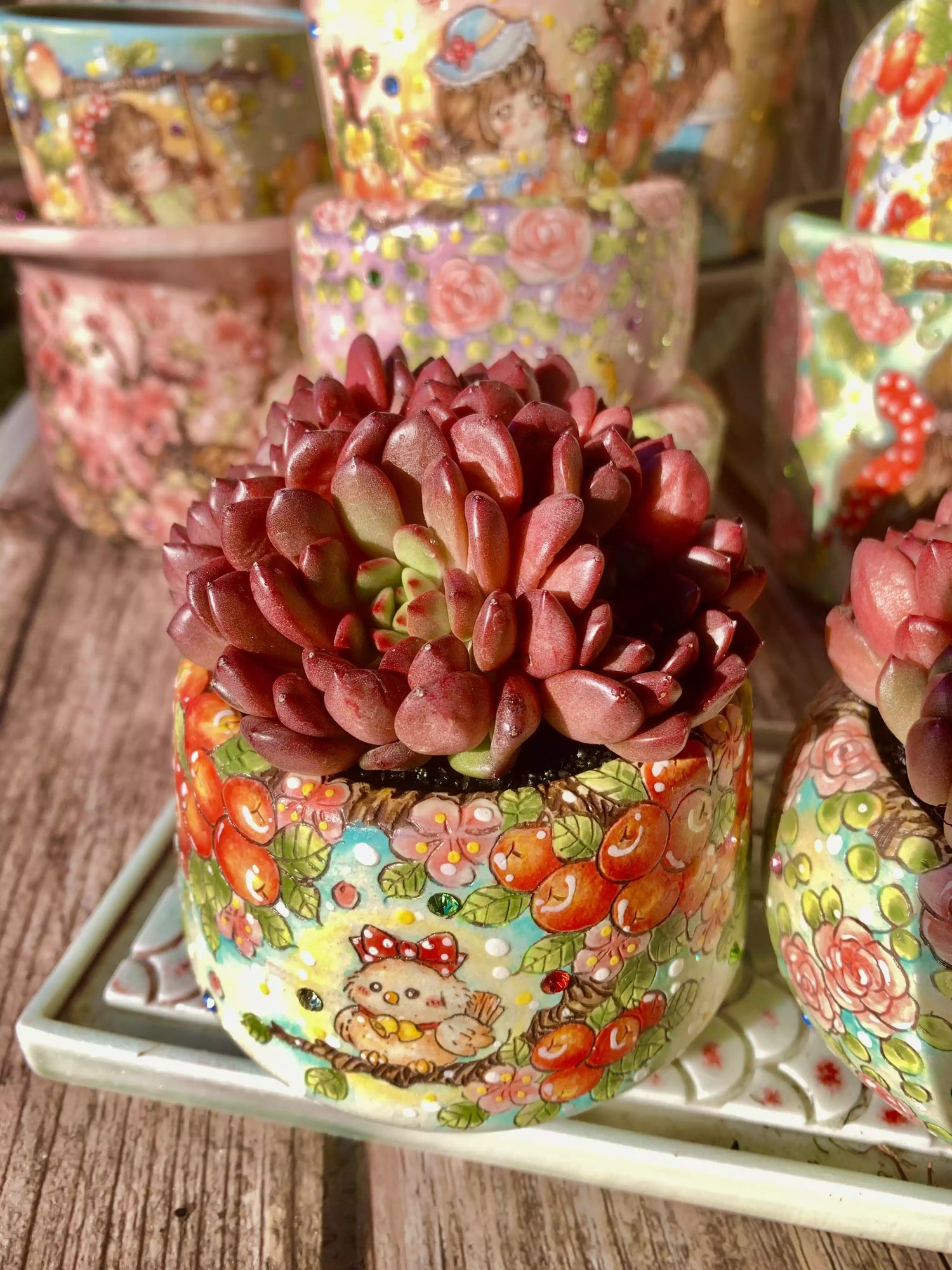 Echeveria Pink Rubby