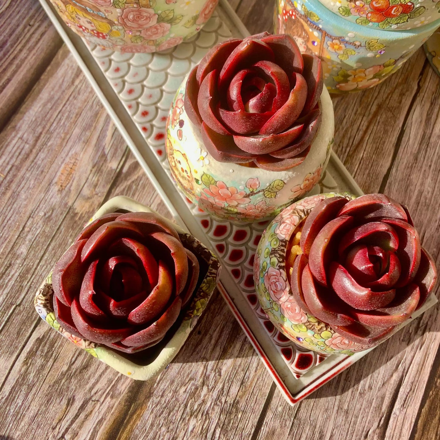 Echeveria Red Lantern