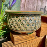 Floral Pattern Succulent Pot