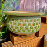 Ceramic Butterfly Decorative Succulent Pot
