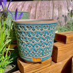 Cloud Pattern Succulent Pot