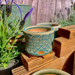 Ceramic Blue Flower Geometric Succulent Pot