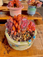 5dfa5676-a2f4-460c-aae4-c0d27744d228