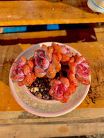 883be620-14fe-4f94-a91f-5b218269df21