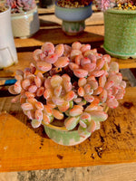 c4e96125-5fd9-44c5-a510-f05eb1b4ba35