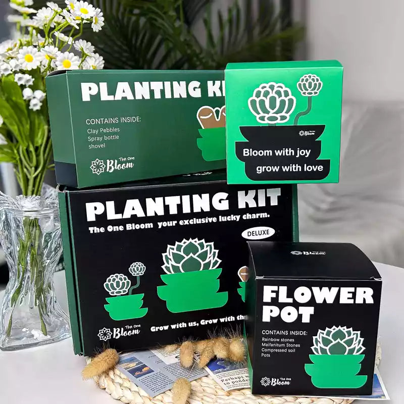 succulent kit Outdoor Succulent DIY Kit for Sale – The One Bloom