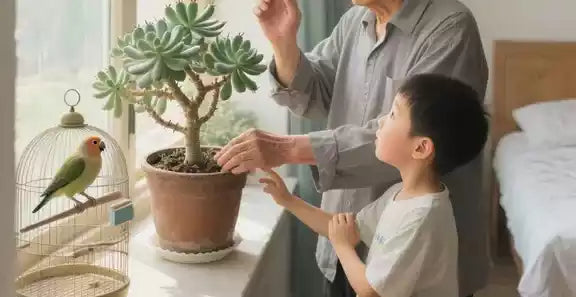 Succulents: Poisonous or not?