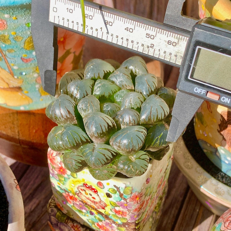 6f61d752-0b59-436b-b5ed-8ab7cd5e33a3