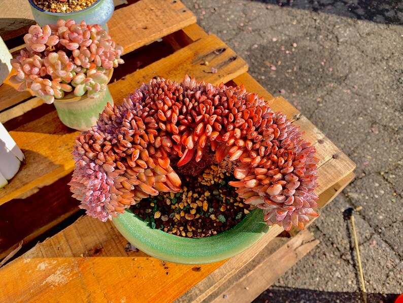 d8d2a876-f3b0-4522-bd0b-8e2325628af9