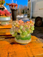 88ec128d-421a-4827-8ab1-6cf1cc268615