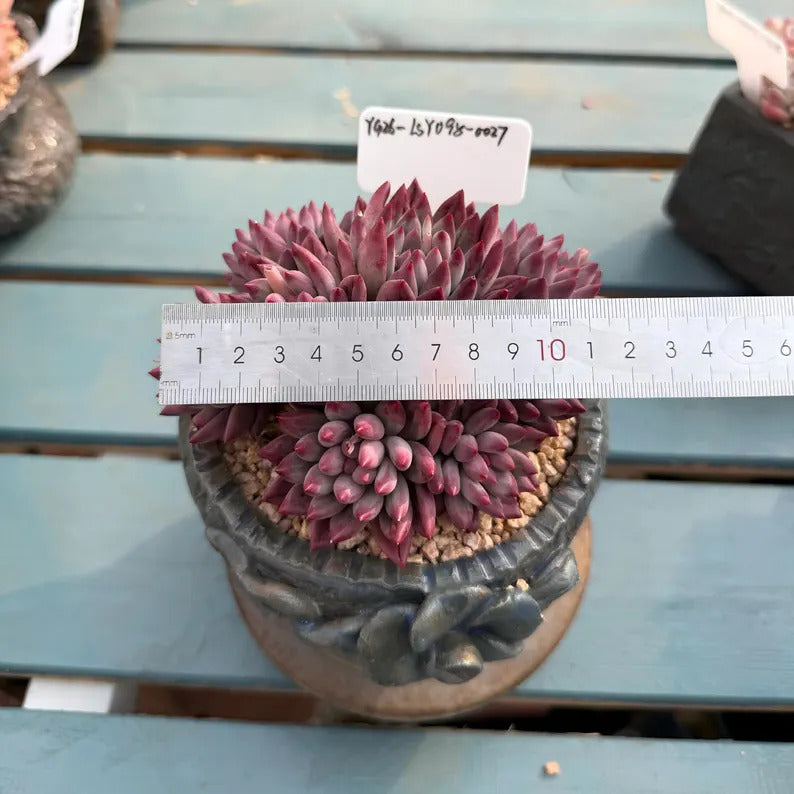 172af1fb-b3ec-4f41-af35-bbadb32d8ee2