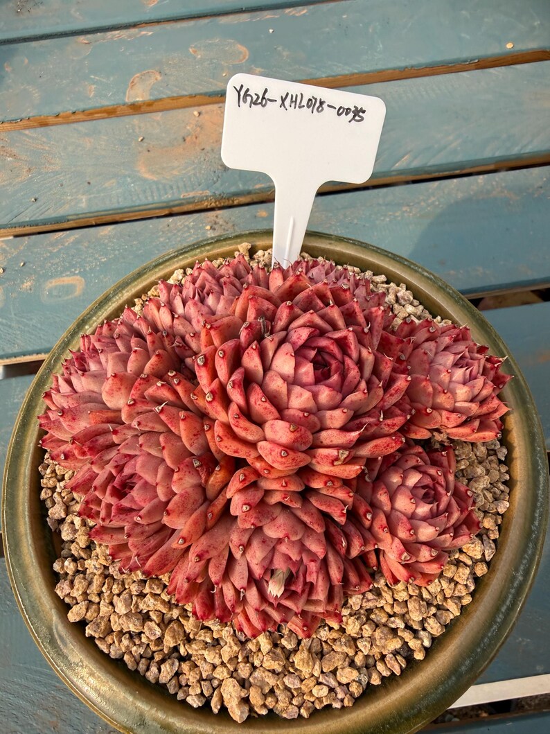 3345383a-0d83-4b56-803d-d956bf114d91