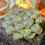 88f9068e-5d86-4eda-b46e-b7195e5922a5