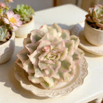 a5144d69-1367-4cd8-bb3f-c57452be014b