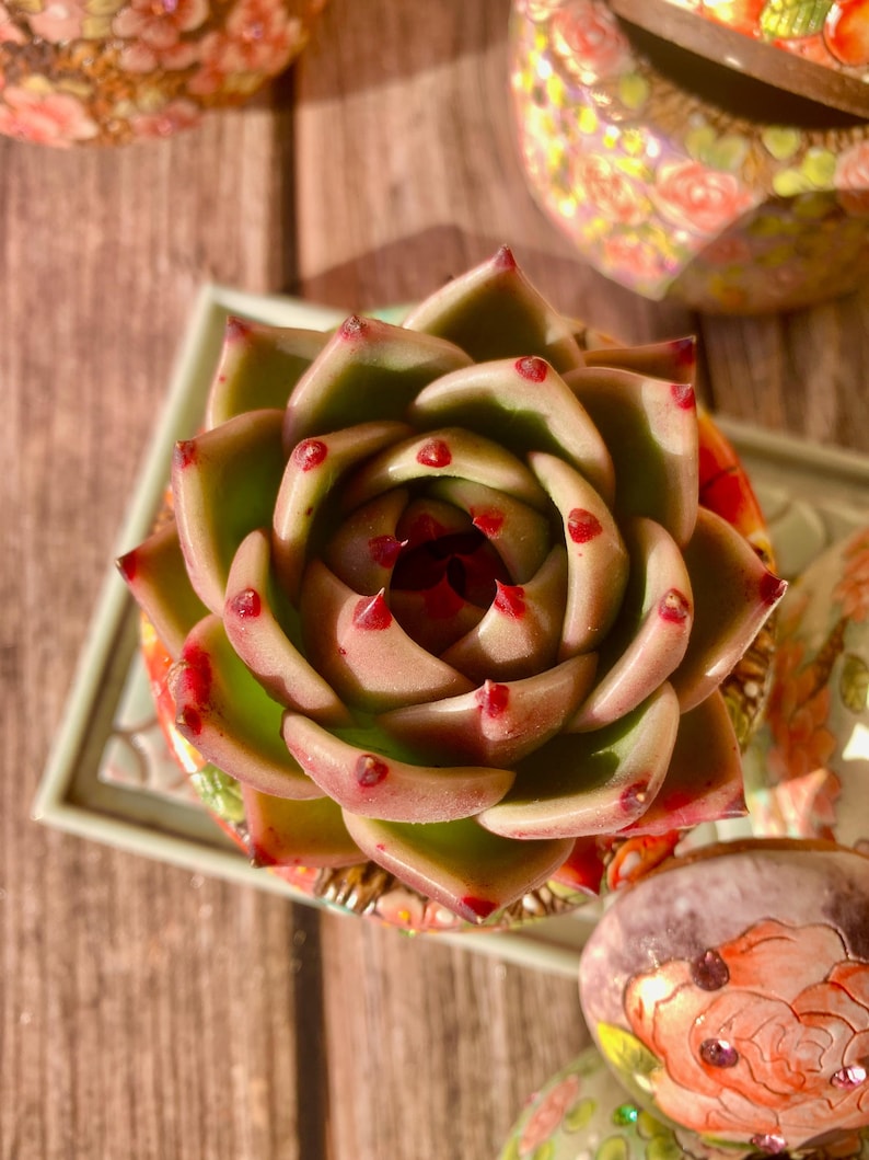 ce3713cb-c495-49e8-9945-20bbb8501b4e