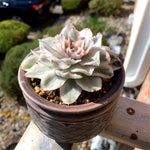 1bdcb1a8-0147-49ad-b7e0-fcf3a25b3731