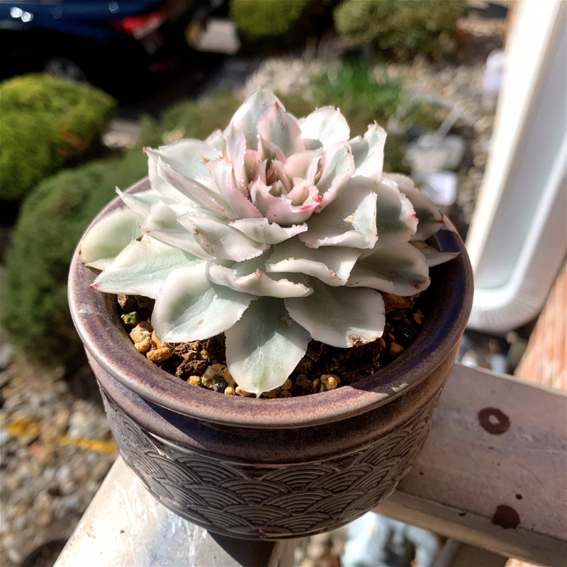 1bdcb1a8-0147-49ad-b7e0-fcf3a25b3731