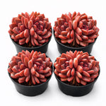 5aaf7cae-c999-4462-b8eb-470521a9eb5c