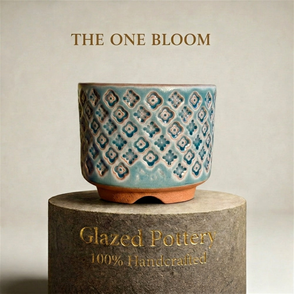 WS-0058 Unique Handmade Pottery Planter Pot - Pot rim diameter: 3"