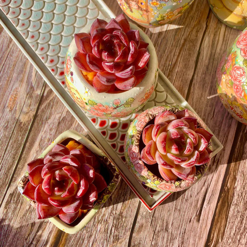 facc3bdf-9e30-481c-8cee-0bfa376020b5