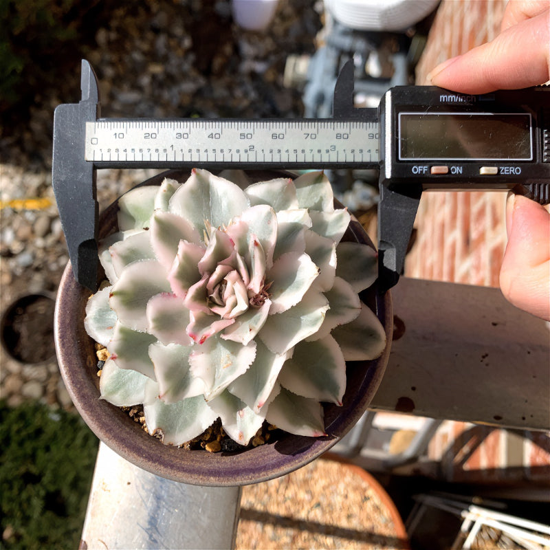 e5a40a4d-00fc-4837-a02e-8d5ef91a490f