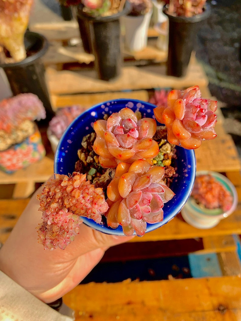 04cd173c-8ae3-4bfd-90f5-dafef8f0d190