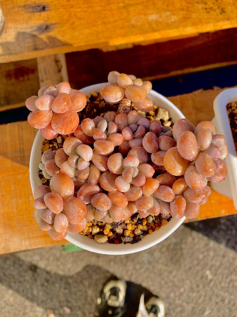 2a4f2184-e6be-4263-8a72-12bbca53ebf5