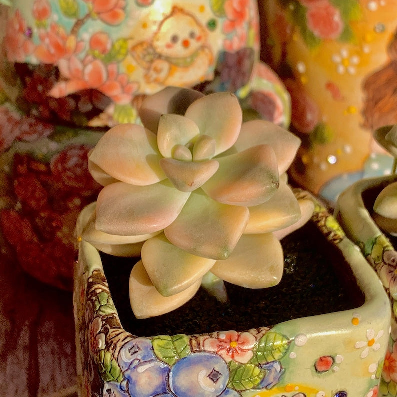 294b5f1e-3506-4bff-9591-d3d580a89ab4