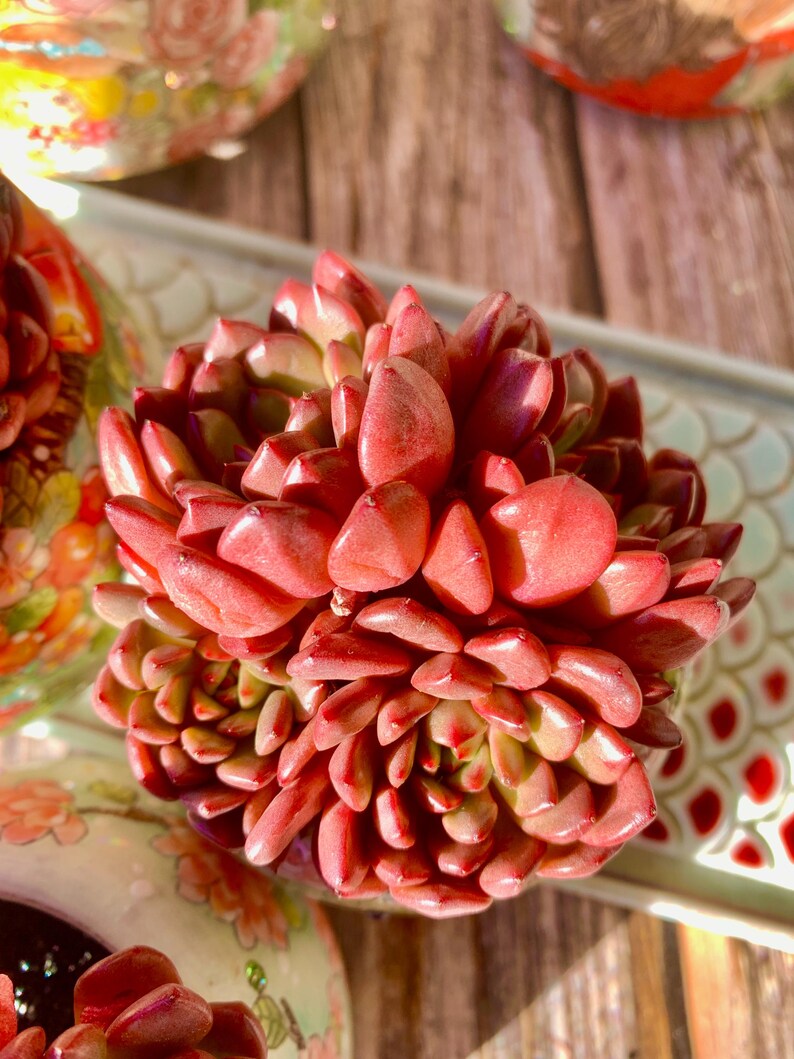 565021d5-3567-4eac-9ebd-240bf72de1b3