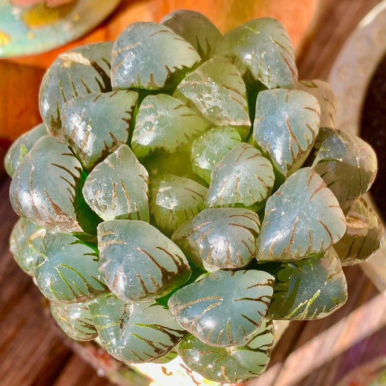 a84b49a9-8f35-47a2-82f2-3ea6662a2a31