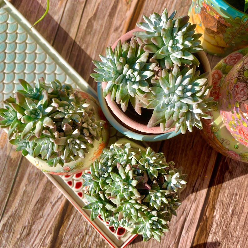 06a68678-b3ff-478b-b660-1962e0f3df59