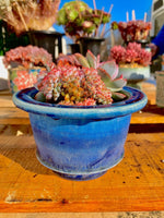 30d62744-a124-4ef5-92b1-1adba39bb2e5