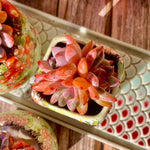 f08aa660-70e9-4523-8578-2d646f4f5bc0