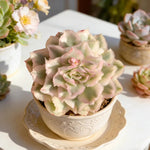 2bf6208c-cf19-448d-a9c9-86b76cb9da9a