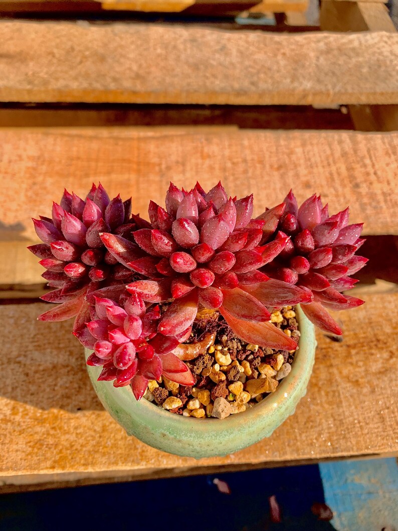 c48c2d4e-ee6e-4f26-b684-ba3109d2379f