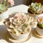 a4bfe4d3-4470-4263-ae3f-766d5b56dc04