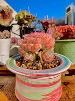 2ab47233-cda3-46e0-90b3-b44f2a55a0e1