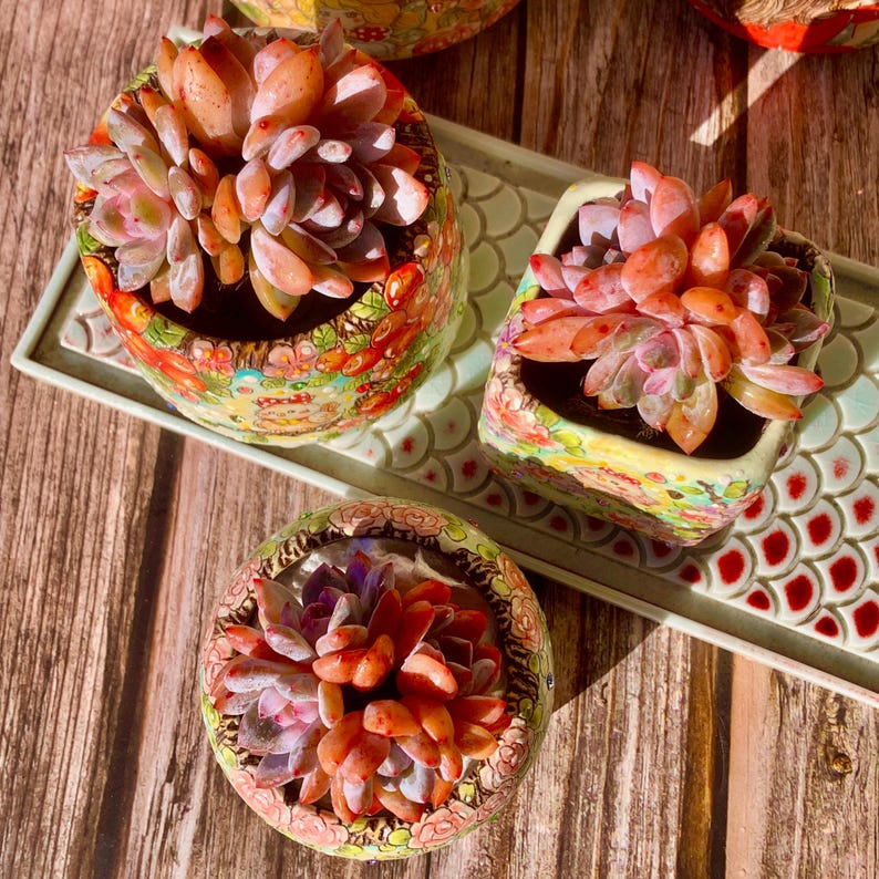 f2744c5d-a127-4e25-acdb-fd96bc8b0875