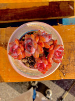 0475d1dd-95ab-4374-8ec3-3e02dc917c73