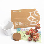 fac2b1ac-d84d-48a9-8c54-0e3fbe85c8b6