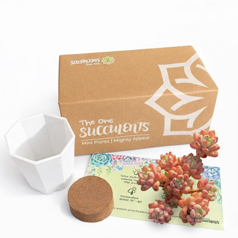 fac2b1ac-d84d-48a9-8c54-0e3fbe85c8b6