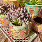 1514c183-4c9d-4499-bb7e-fad703ef6919