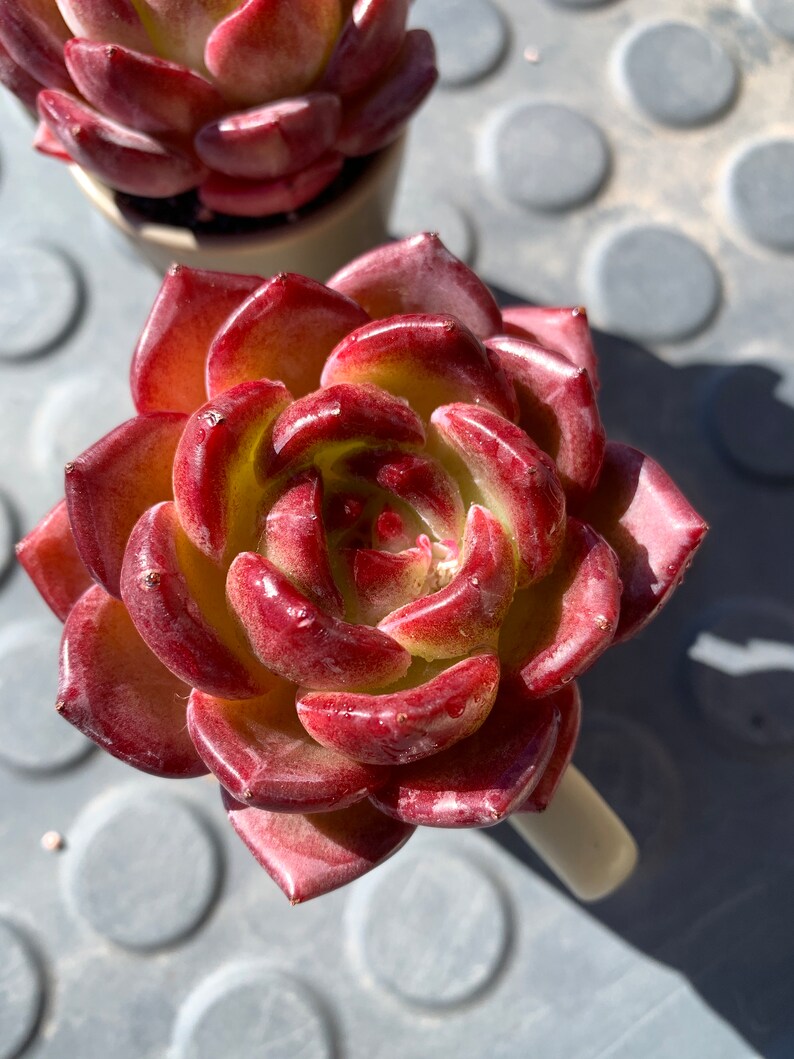 d34bc865-5601-4a16-a5e0-b52646f70619