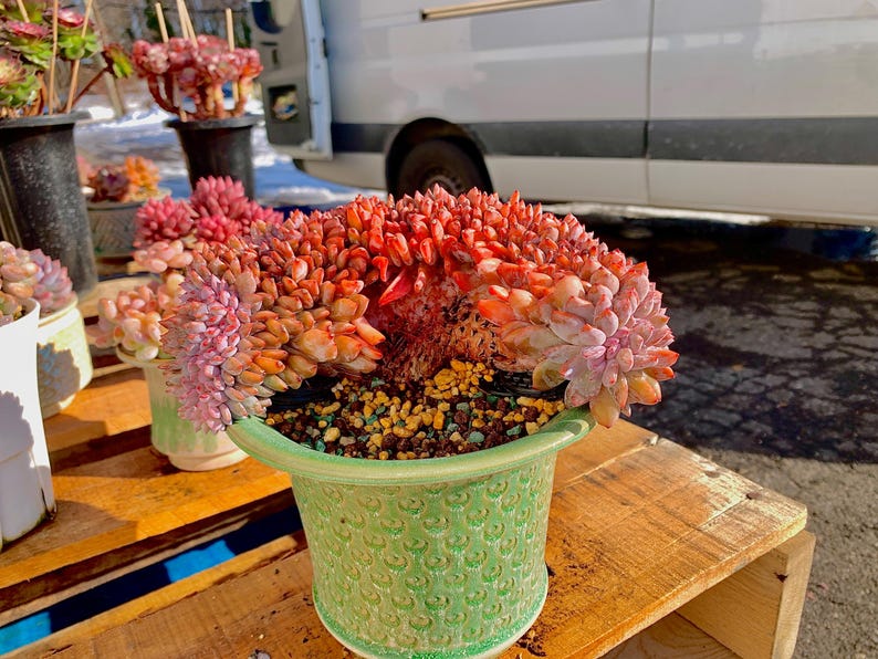 5e8b9a04-f36c-4ab5-ba06-a9d4166d7453