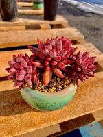 8b0daa32-d5ff-4e16-bd82-07c6412dee71