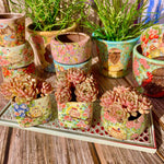 bb69da6c-621a-4f5f-a272-a9f21d702d78